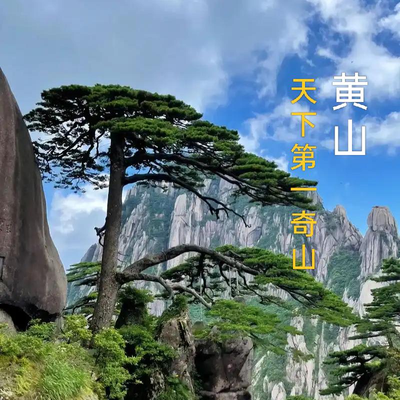 上善若水