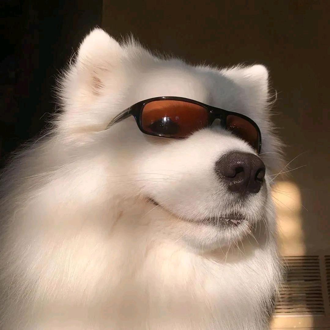 小玖