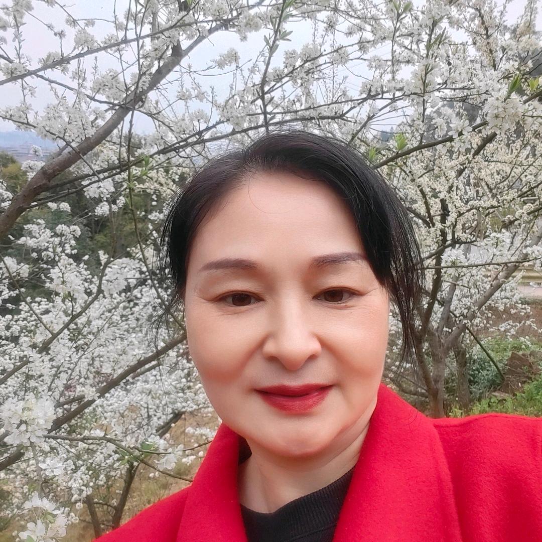 灿烂人生