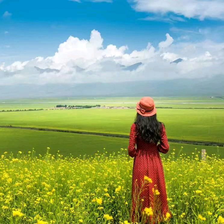 风华依旧笑春风