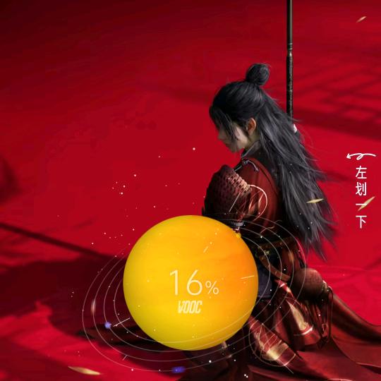 西红柿（有点皮）