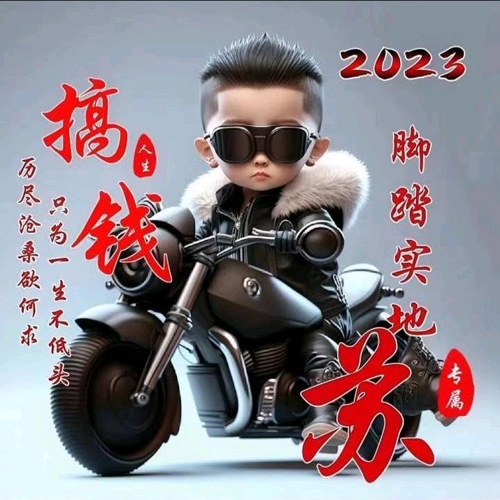 聪明的傻瓜