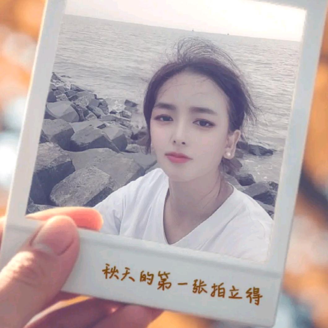豫见美美