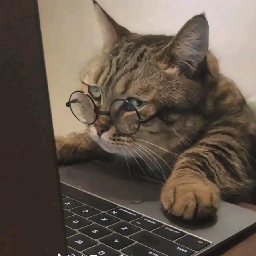 zz张张夫妇装修日记🏠（硬装中）