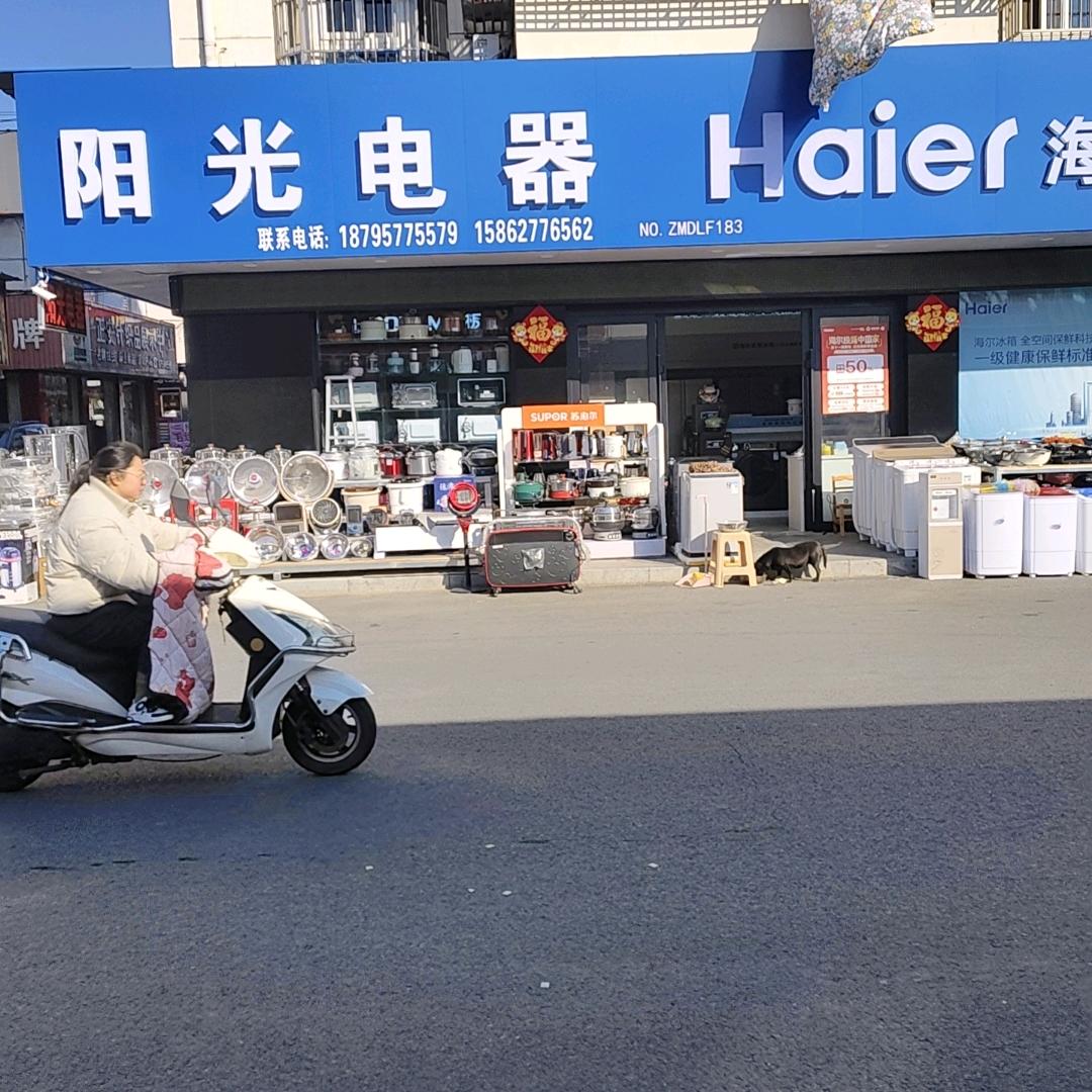 阳光电器于建兰