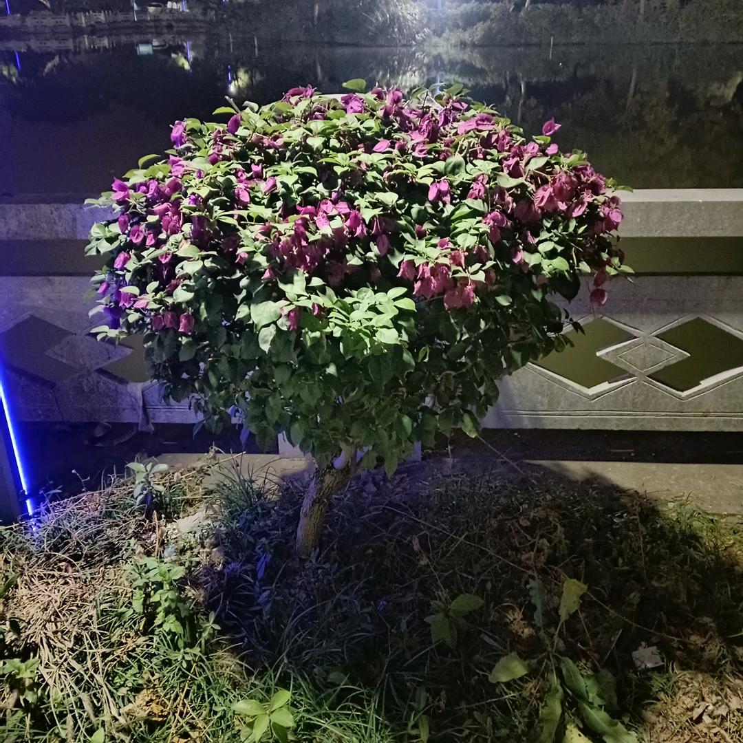 我付天下人