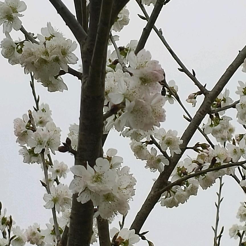 璐璐妈妈