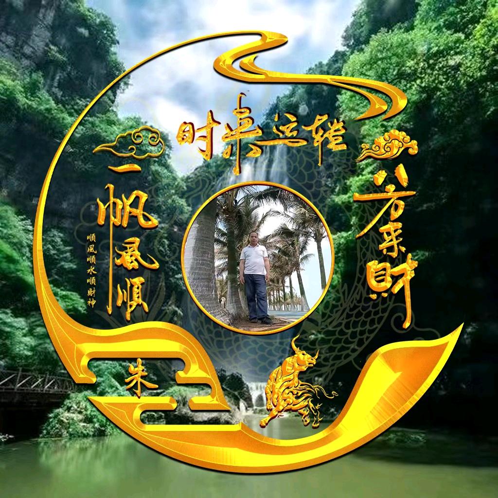 水木年华z