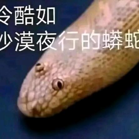 阿巴，阿巴阿巴阿巴!阿巴巴!