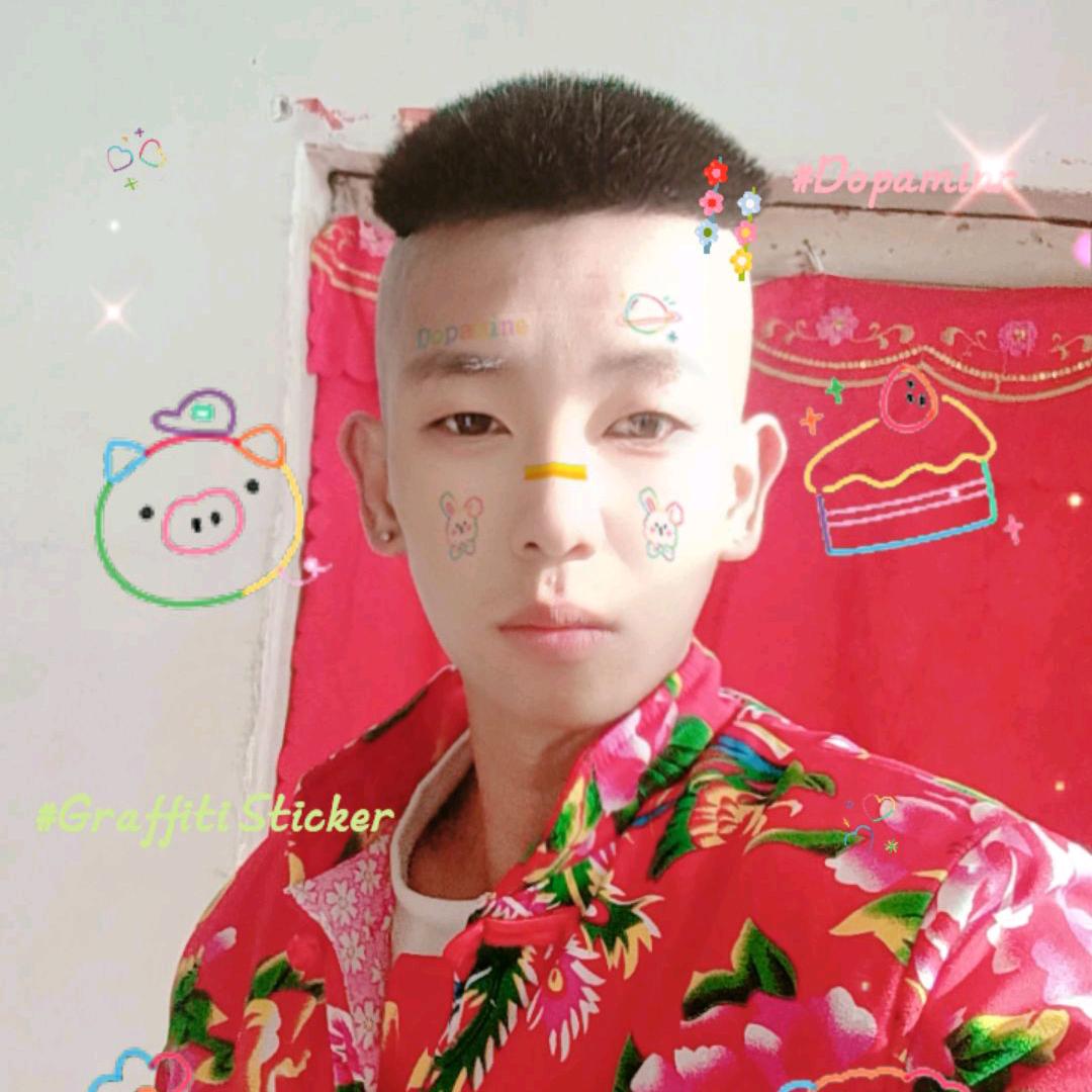 光头福团队（灰灰）