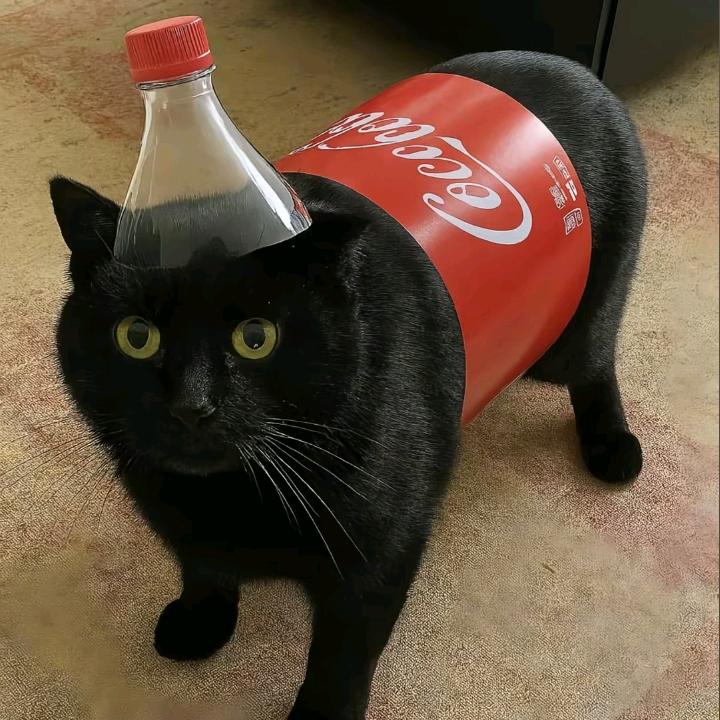 墨迹殿下