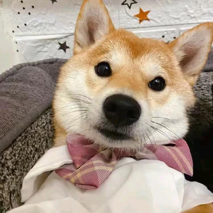 哈里哈 永远快乐