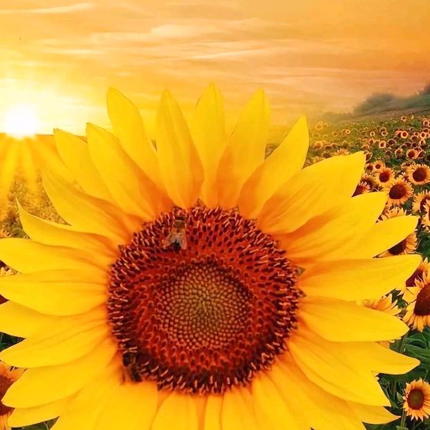 相信相信力量✊✊✊