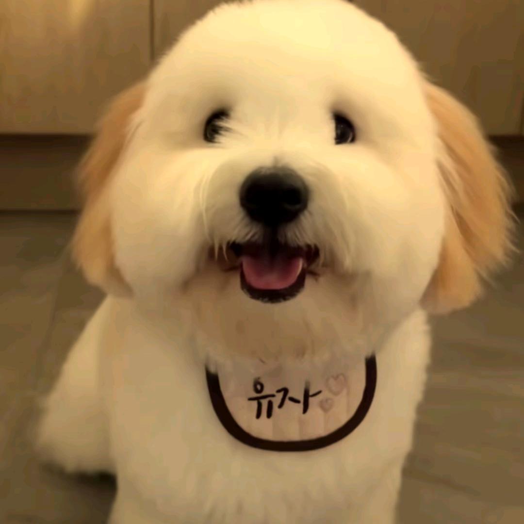 等等妈