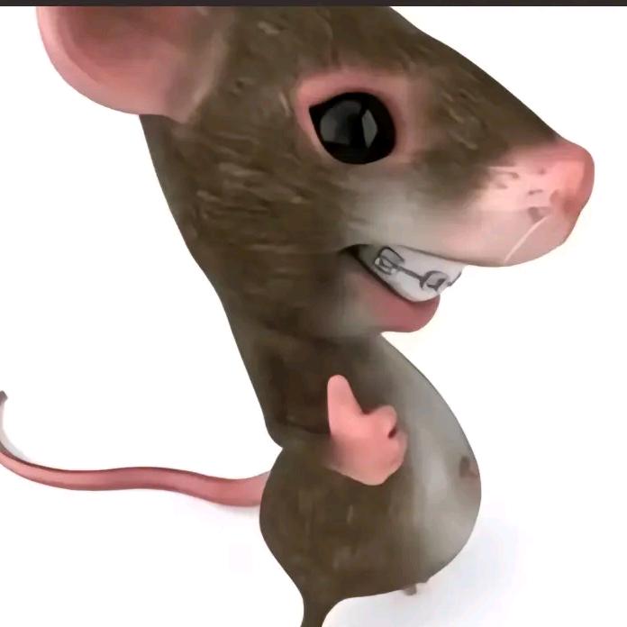 🐭