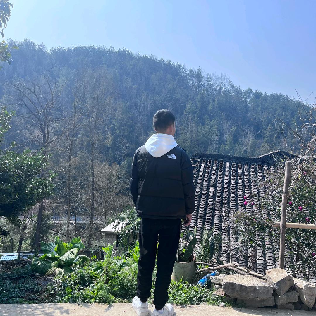 小刘忙