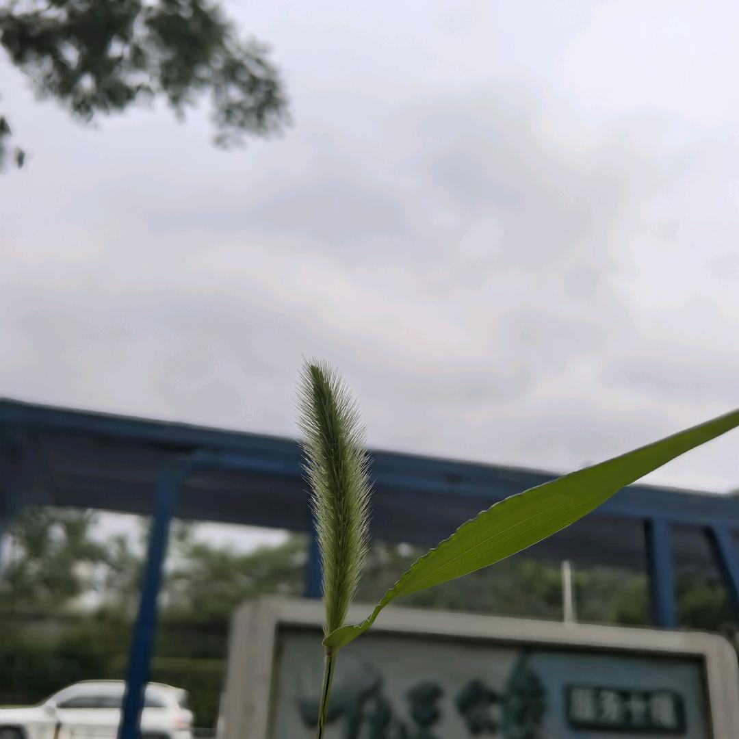 心灵空间