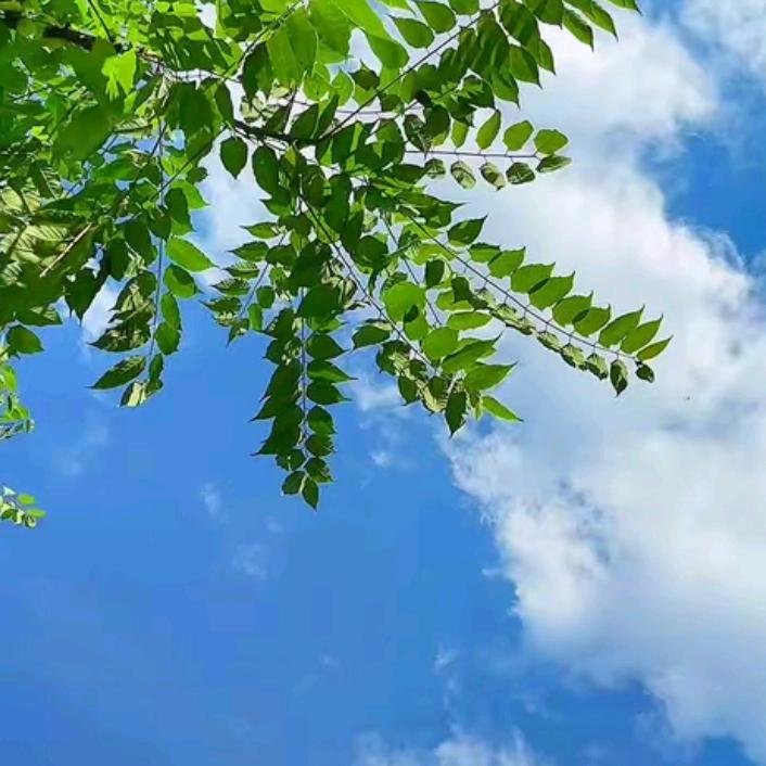 天空很蓝