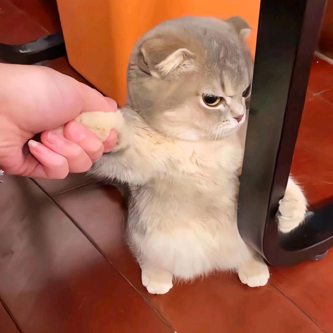 我就皮一下