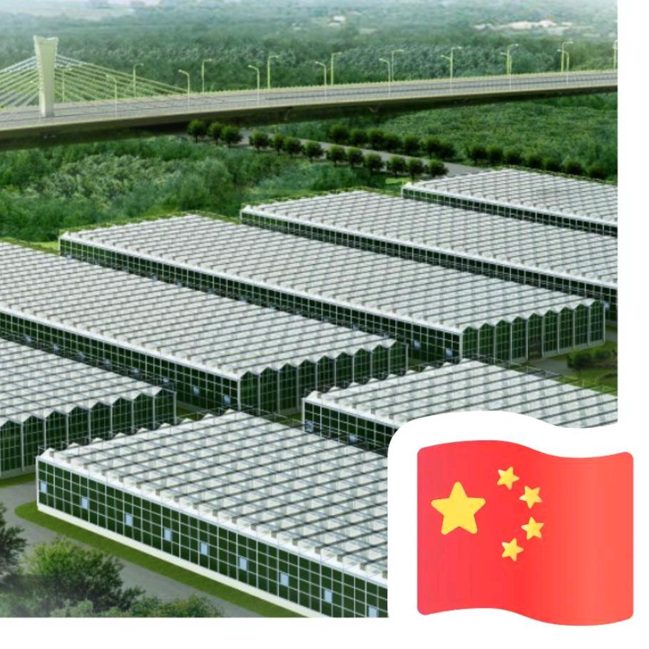 青州市川阳农业科技有限公司