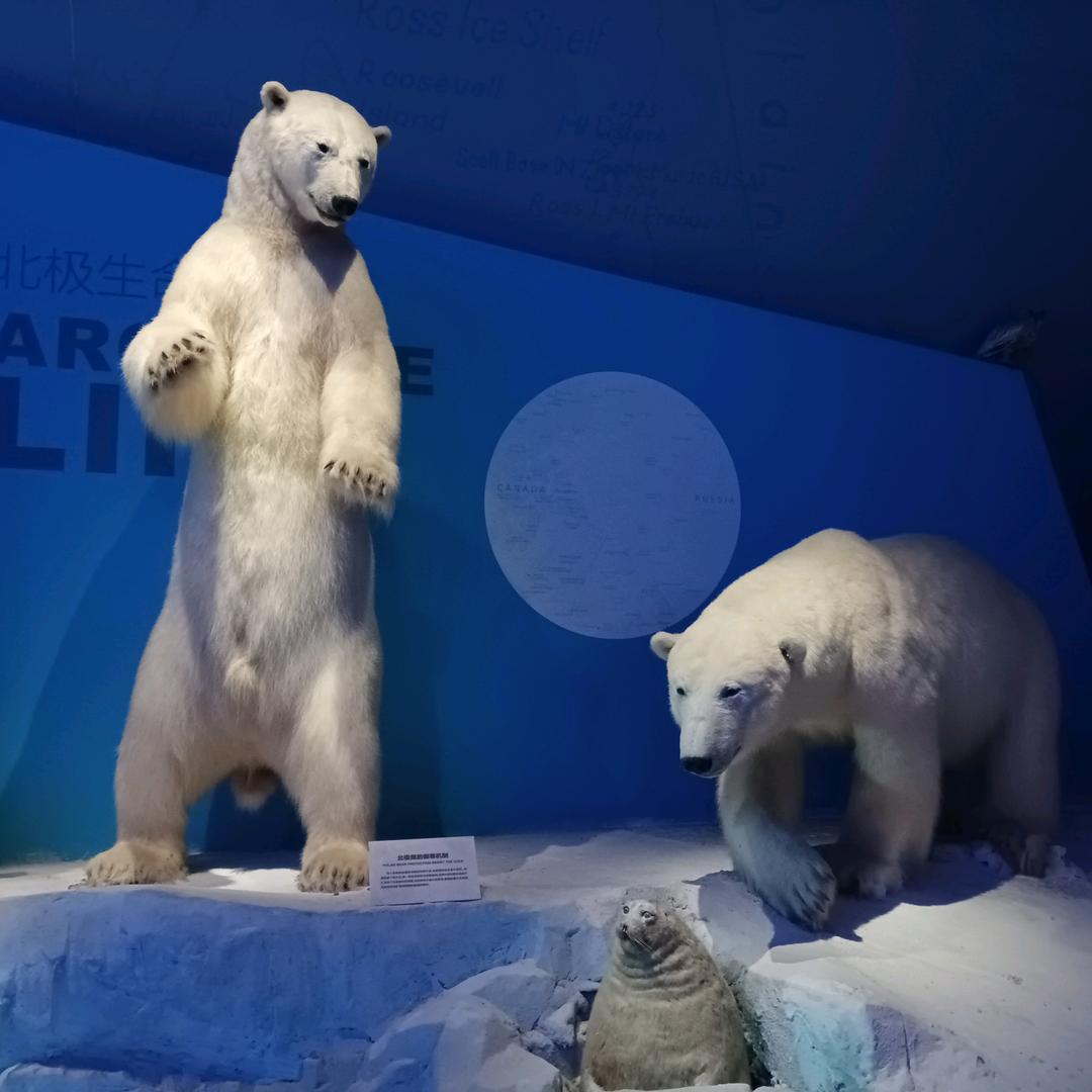 骑着蜗牛赶火车