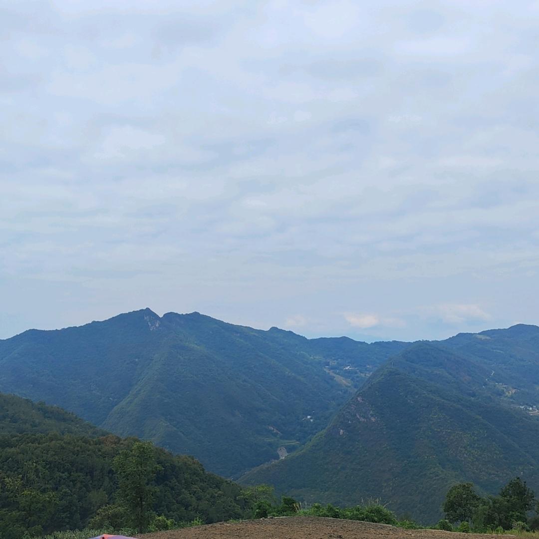 回忆安慰
