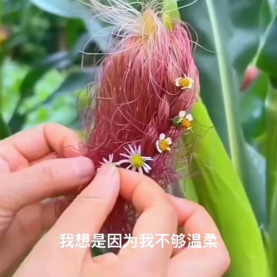 雨中漫步