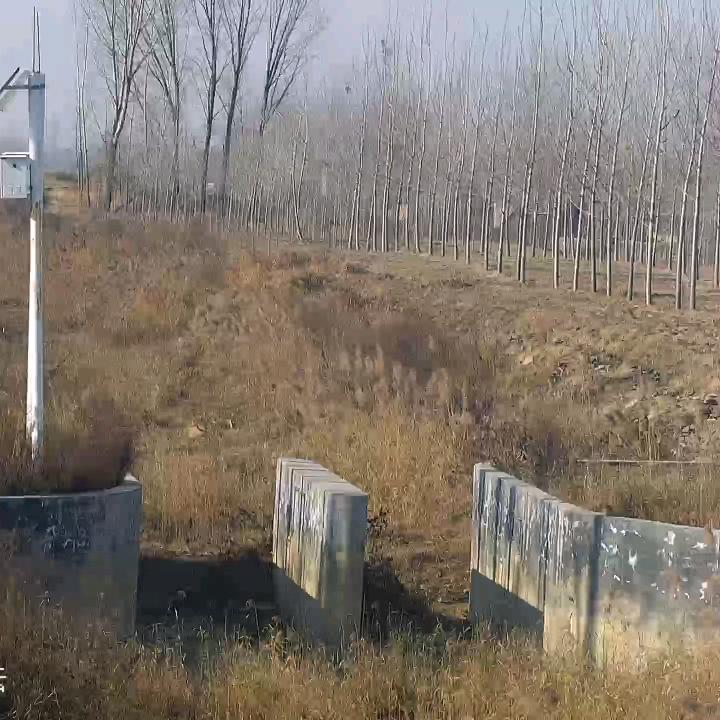 明天会更好
