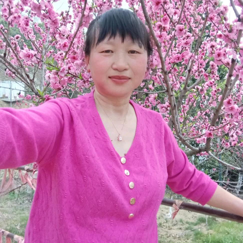 冰山雪莲