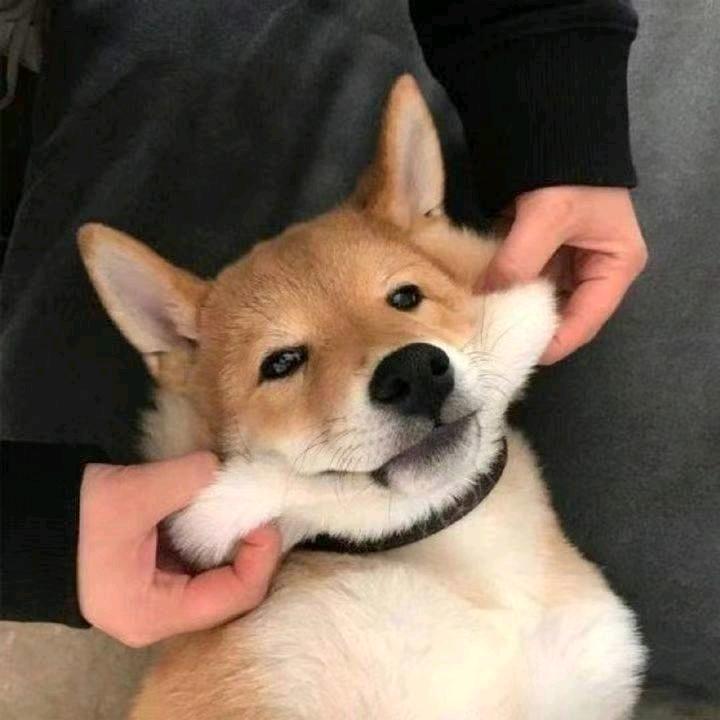 文仔阿🙄