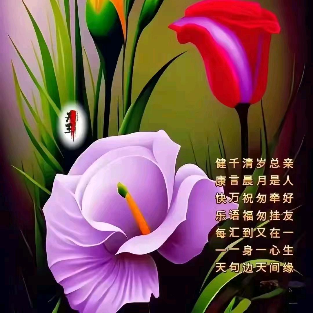吴波小号头像