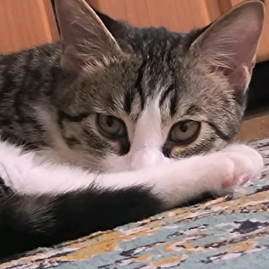零点一