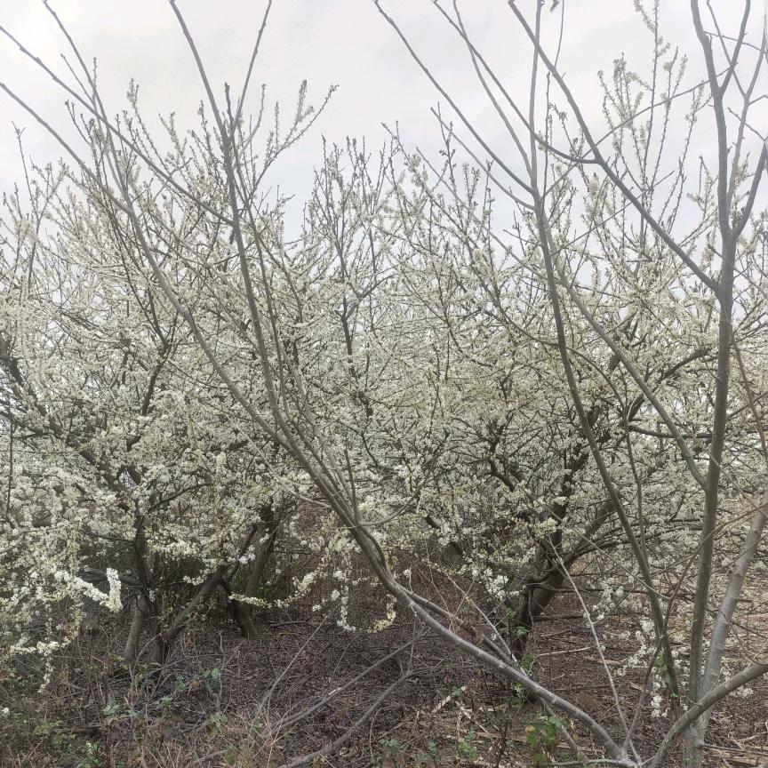 美女的心乱₇₈糟