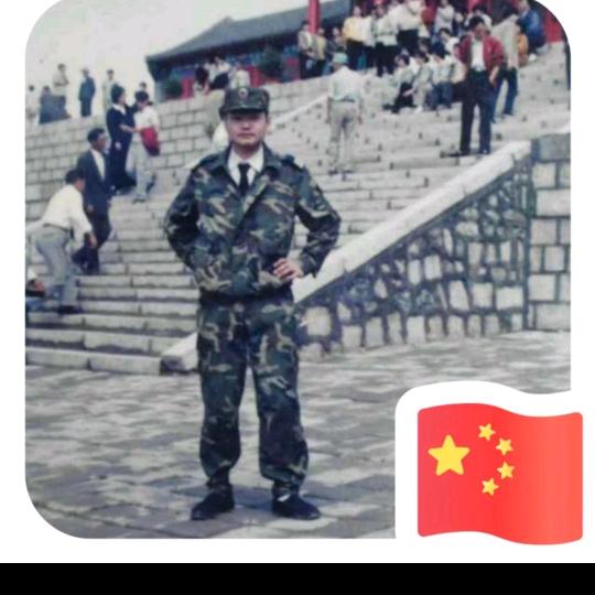 一片绿叶