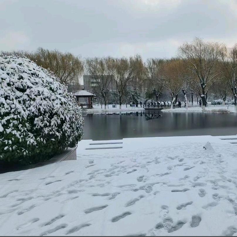 九年前北扬克顿