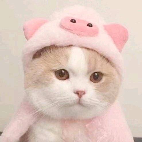 璀璨