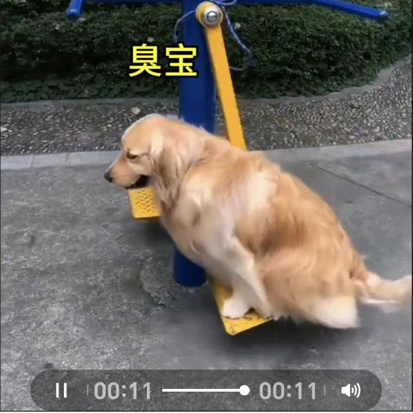 我会越来越好