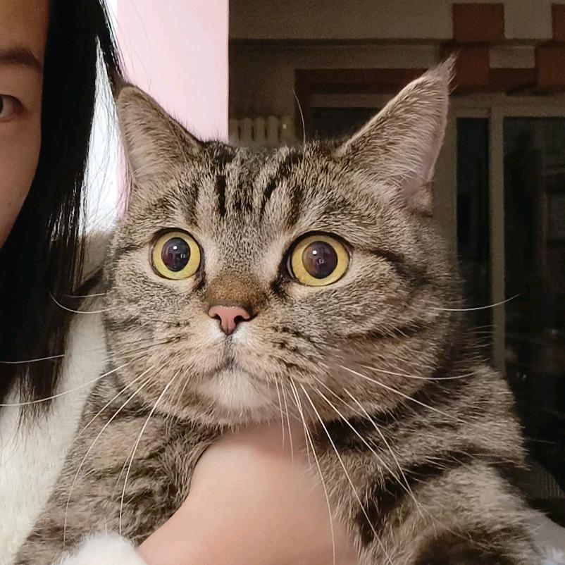 饿鱼