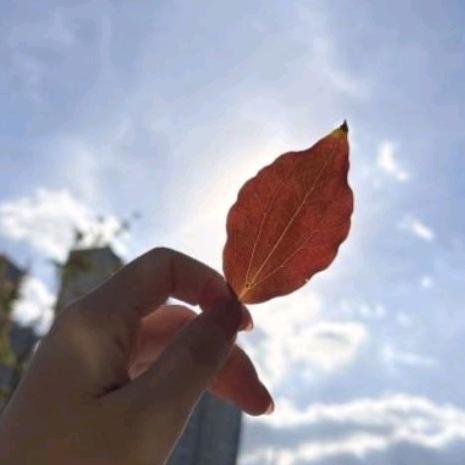 ལོ🍂མ