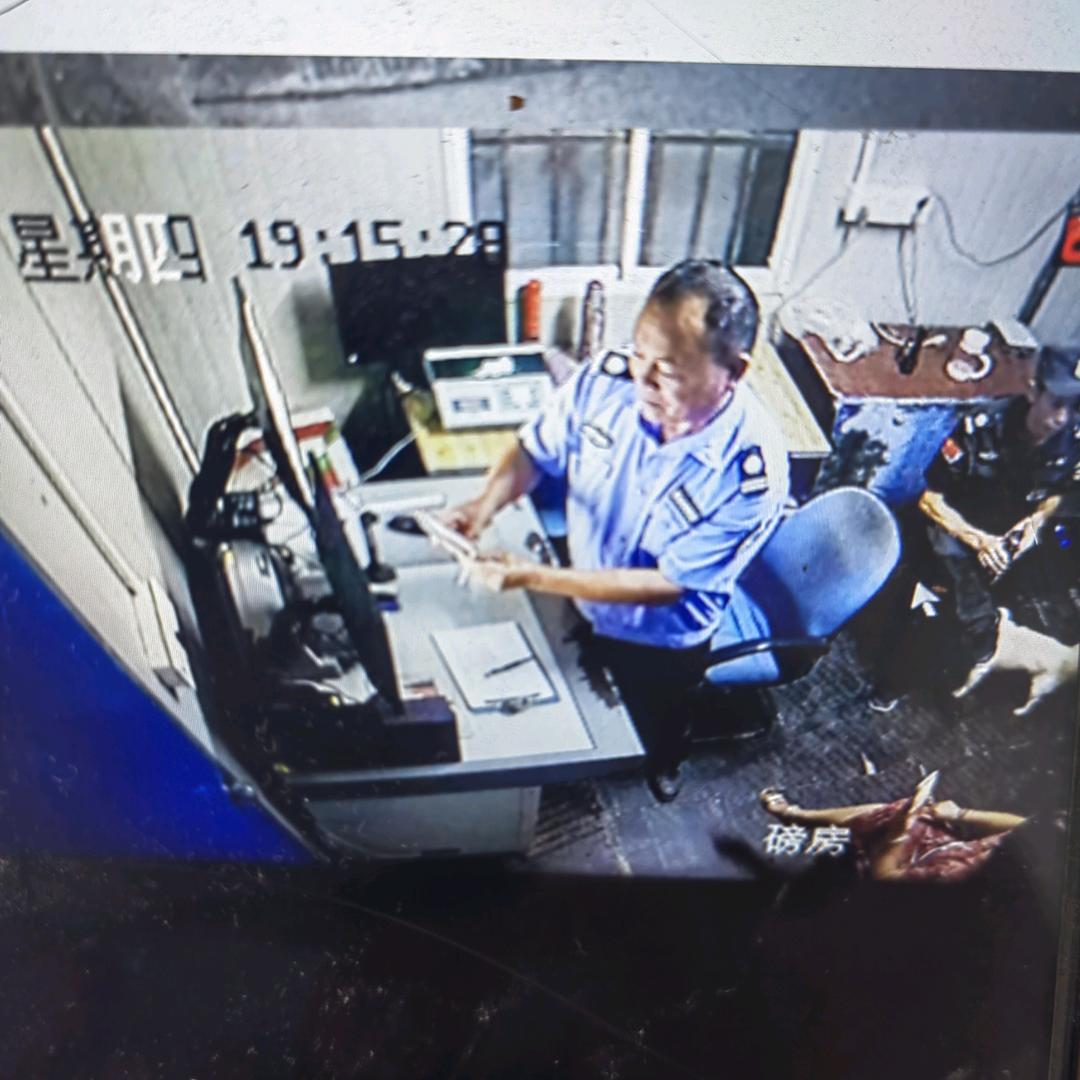 为生活而奋斗：夜神