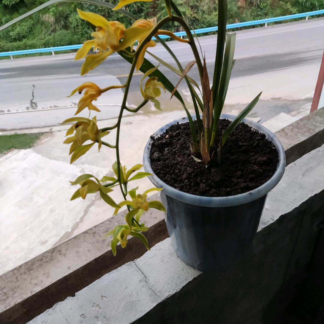 我不会忘记你。