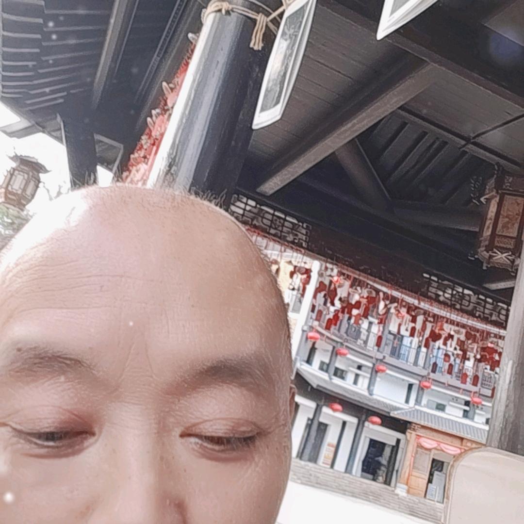 枫叶美丽钟长生