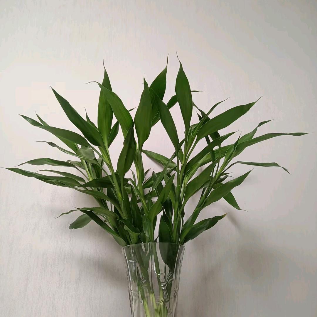 蓝~天