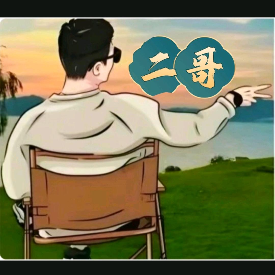 二哥一语