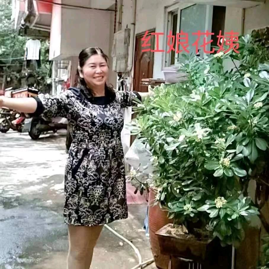 天隆面包房红娘花姨