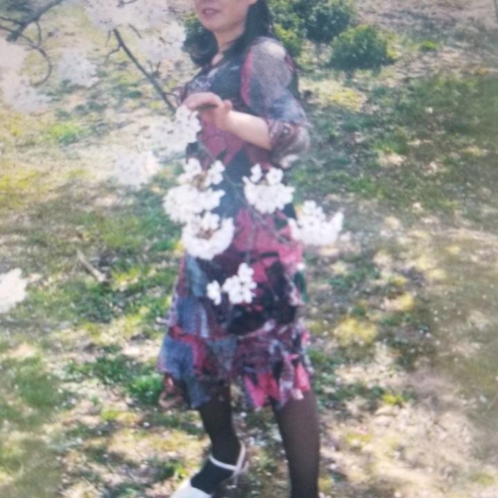 似梦(蓉城女子)