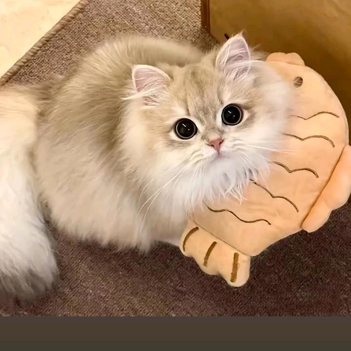 柔头像