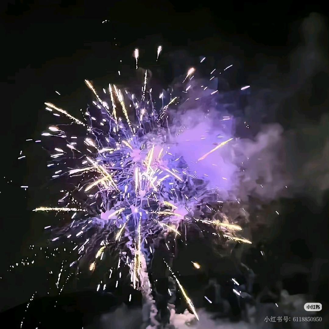 财神爷说我今年发财💰