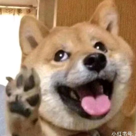 圆柚子干了什么