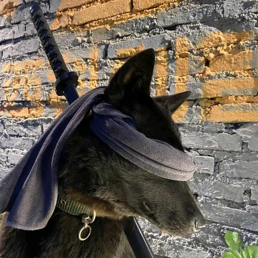 被弓分手了的箭